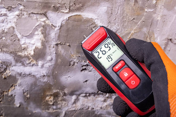 Best HVAC Mold Remediation in Birchwood Lakes, PA